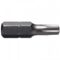 Alpha Torx Bit 10 x 25mm